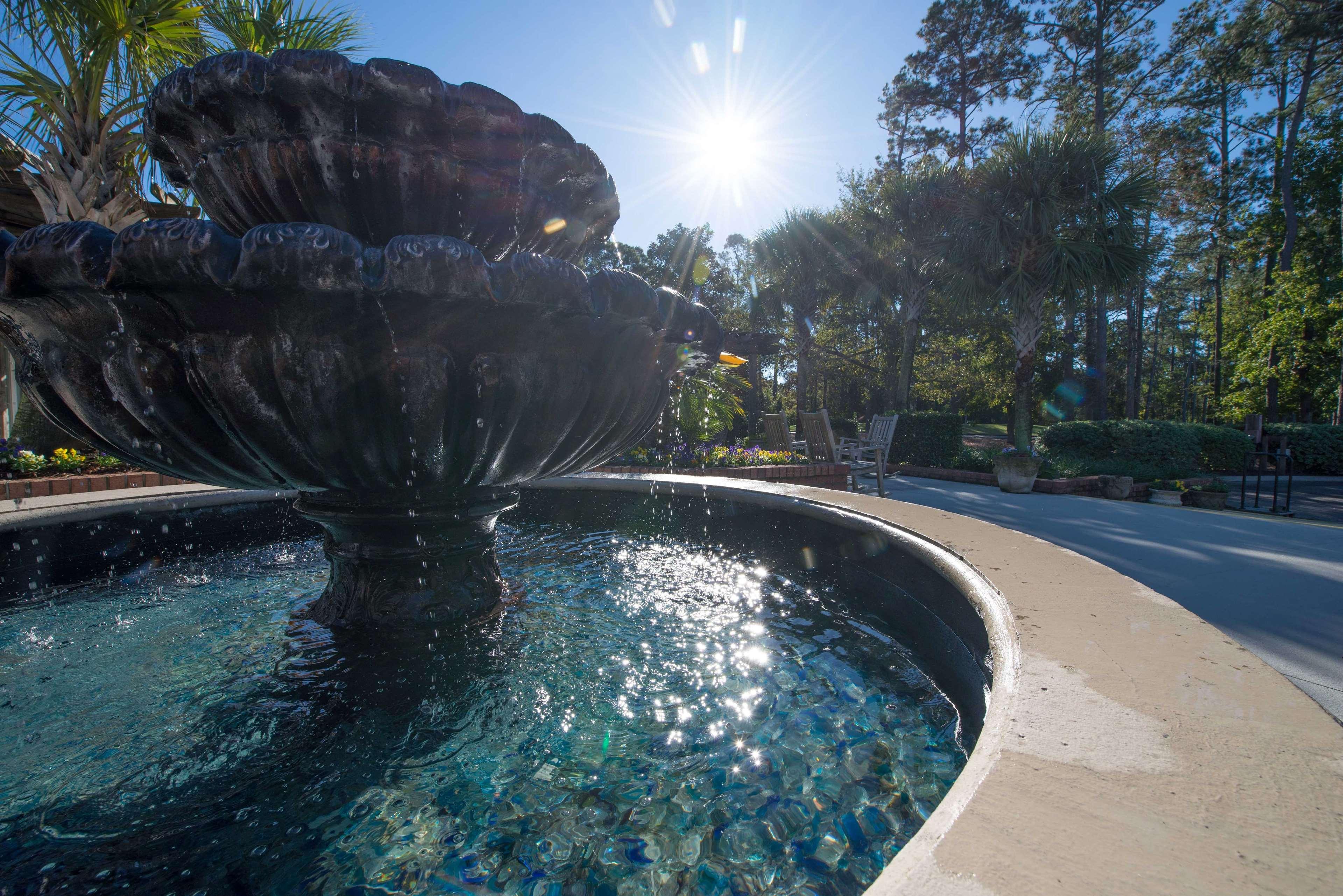 Aparthotel Ellington At Wachasaw Eas Murrells Inlet Exterior foto