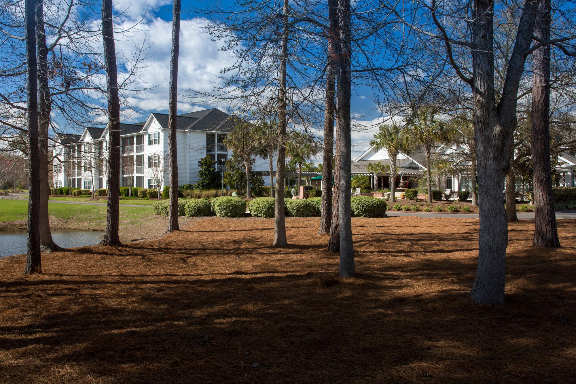 Aparthotel Ellington At Wachasaw Eas Murrells Inlet Exterior foto